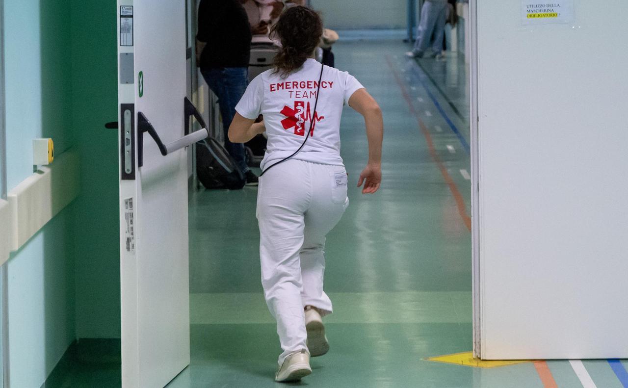 Ferrara, aggressioni verbali e furti al pronto soccorso di Cona