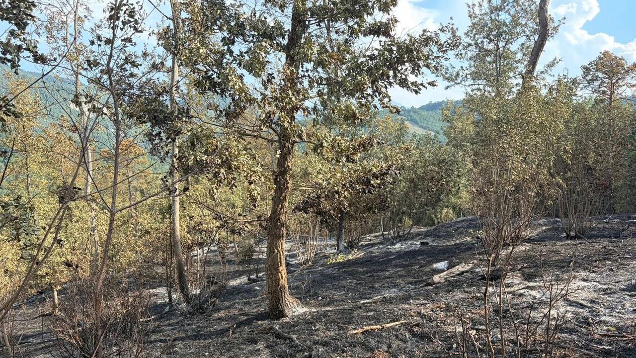 «Perché l’incendio di Vedriano ci mostra la spirale innescata dal cambiamento climatico»