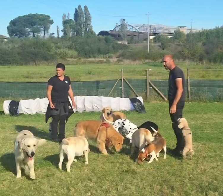 La scelta di Katia: lascia il lavoro e cambia vita per dedicarsi al suo parco per cani