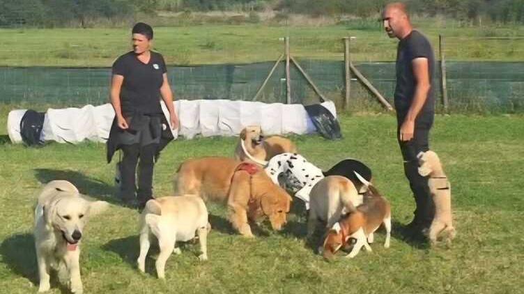Un'immagine del parco