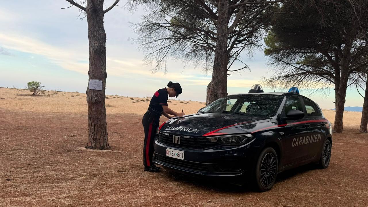 No alla sosta selvaggia, controlli nella pineta sotto sequestro