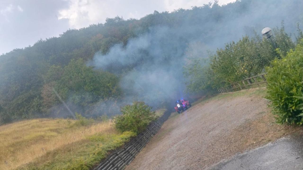 Incendio nei boschi di Cà di Cerredolo