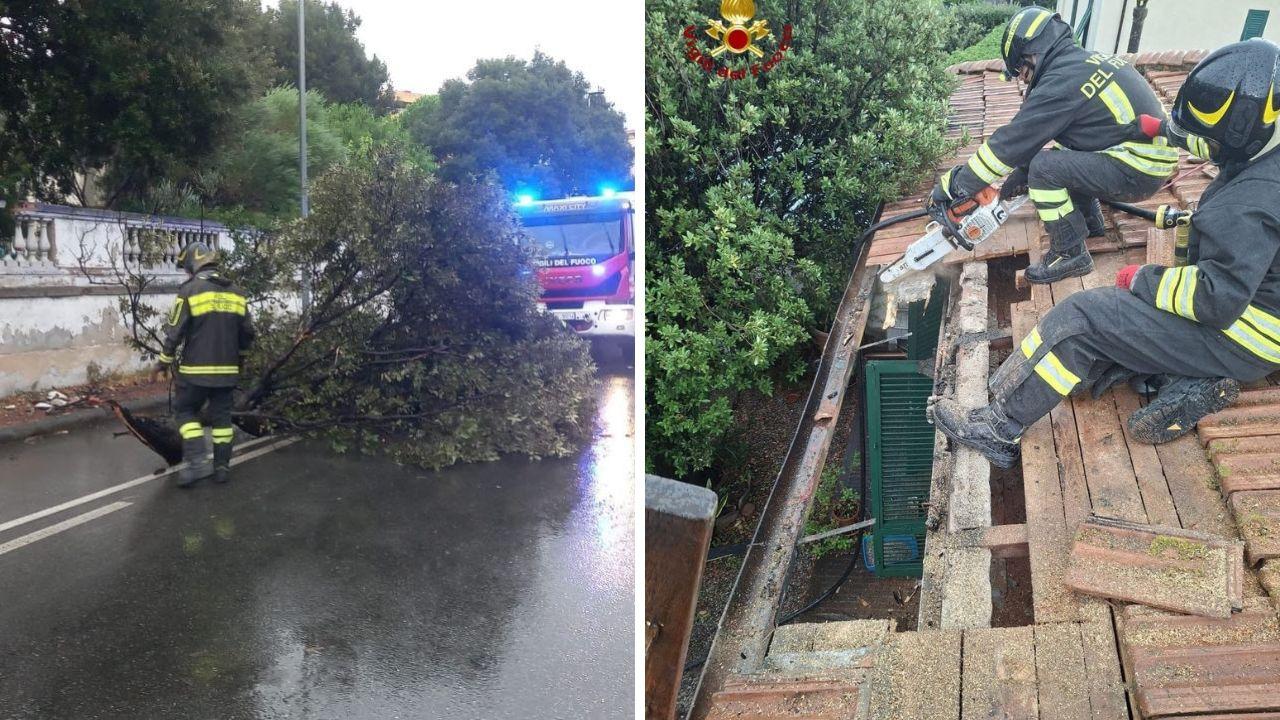 Il ramo caduto sul viale Italia e il tetto danneggiato dal fulmine