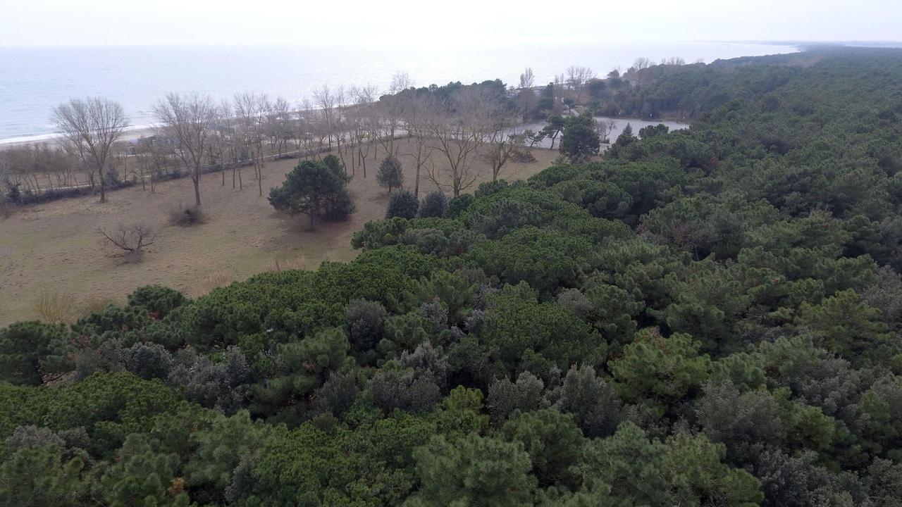 Lido Volano, spari all’alba in pineta: mistero sulle raffiche