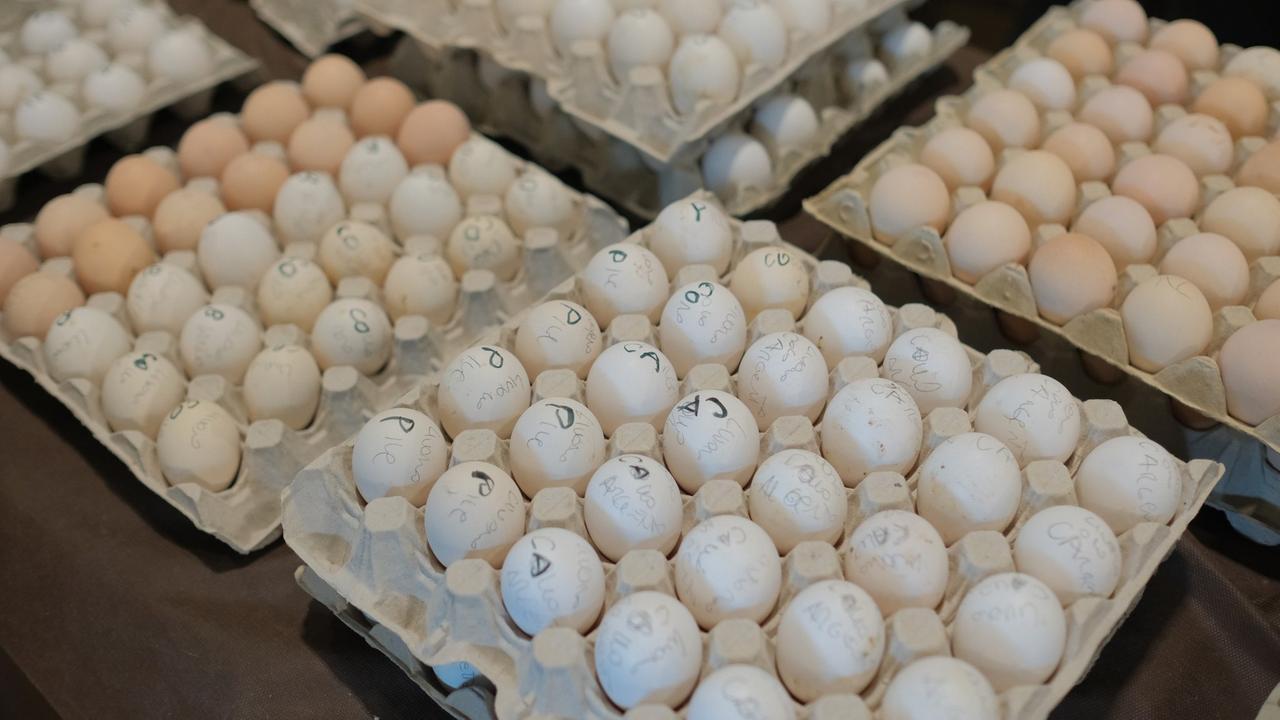 Allarme salmonella: un morto e 207 contagi, nel mirino le uova importate