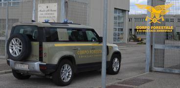 Appicca un incendio e fugge in auto, arrestato un allevatore: si indaga anche su altri roghi