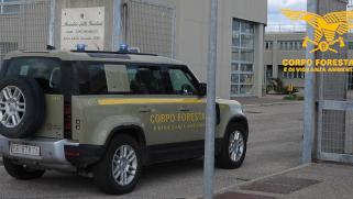 Appicca un incendio e fugge in auto, arrestato un allevatore: si indaga anche su altri roghi