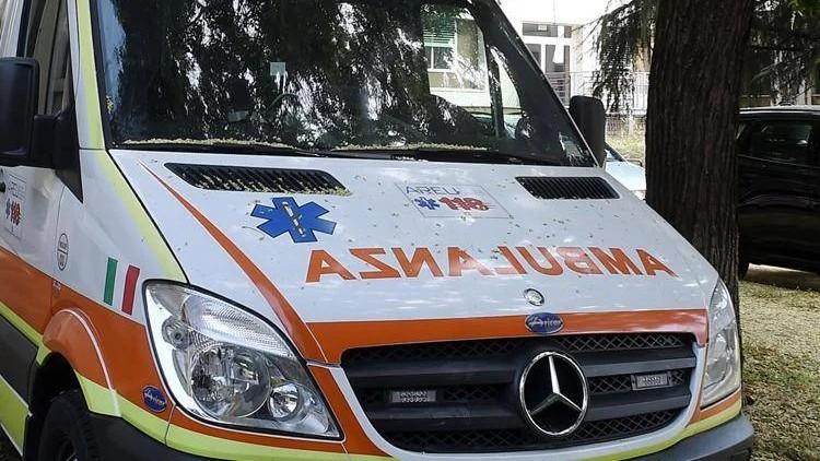 Sospetta difterite, morta bimba di 4 anni: non era vaccinata
