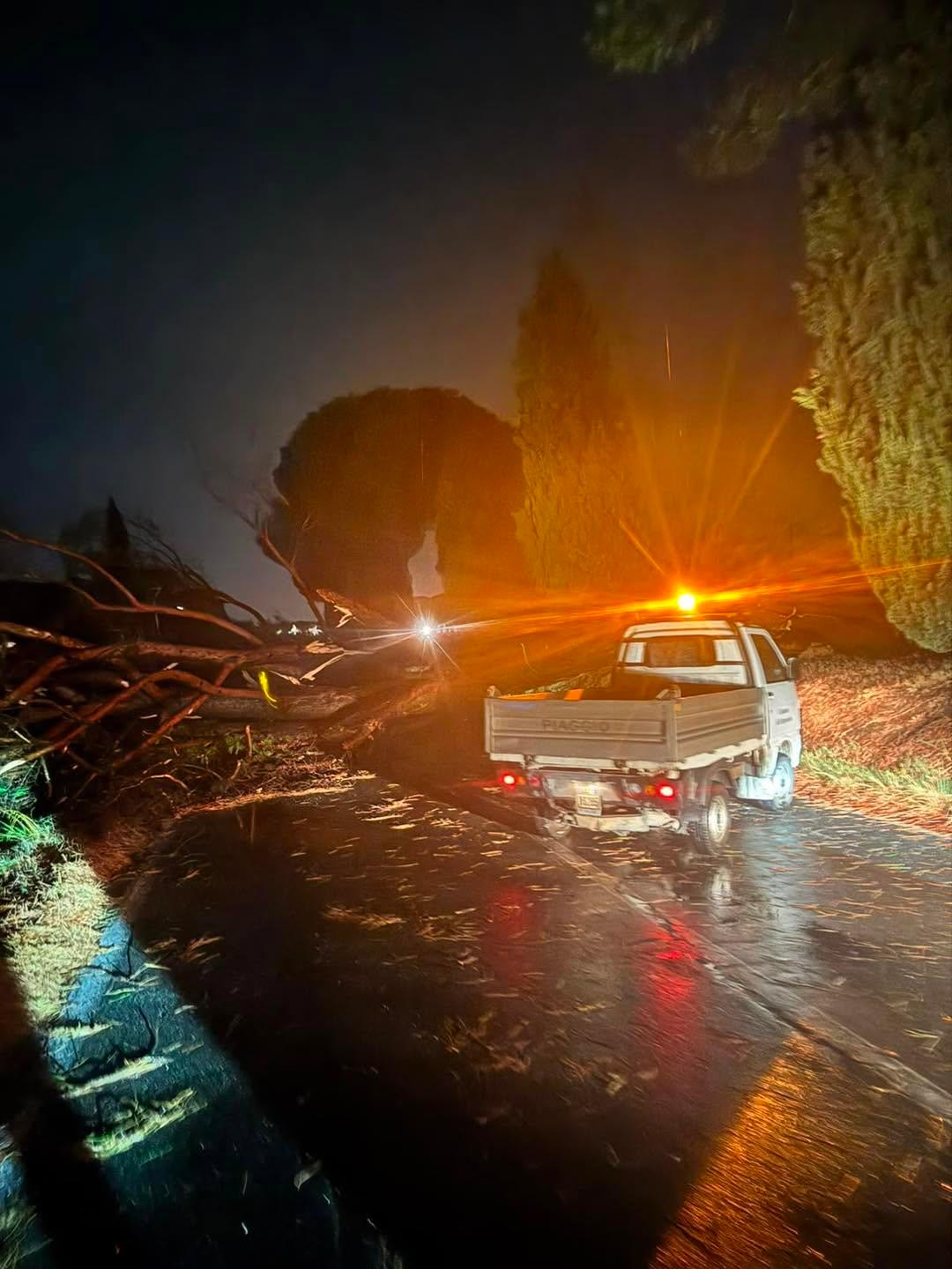 Piana di Lucca, alberi caduti e linee elettriche ko