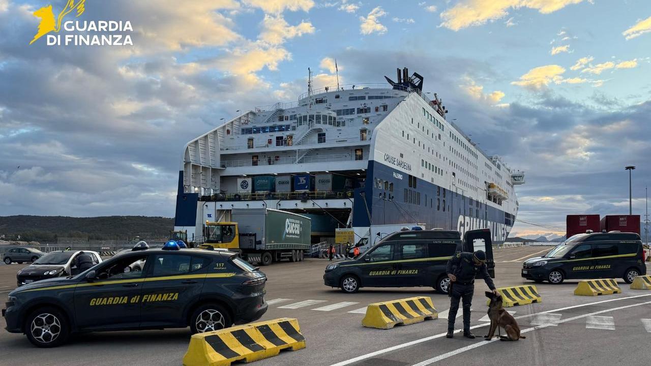 Controlli della Guardia di Finanza con i cani antidroga al porto - Archivio