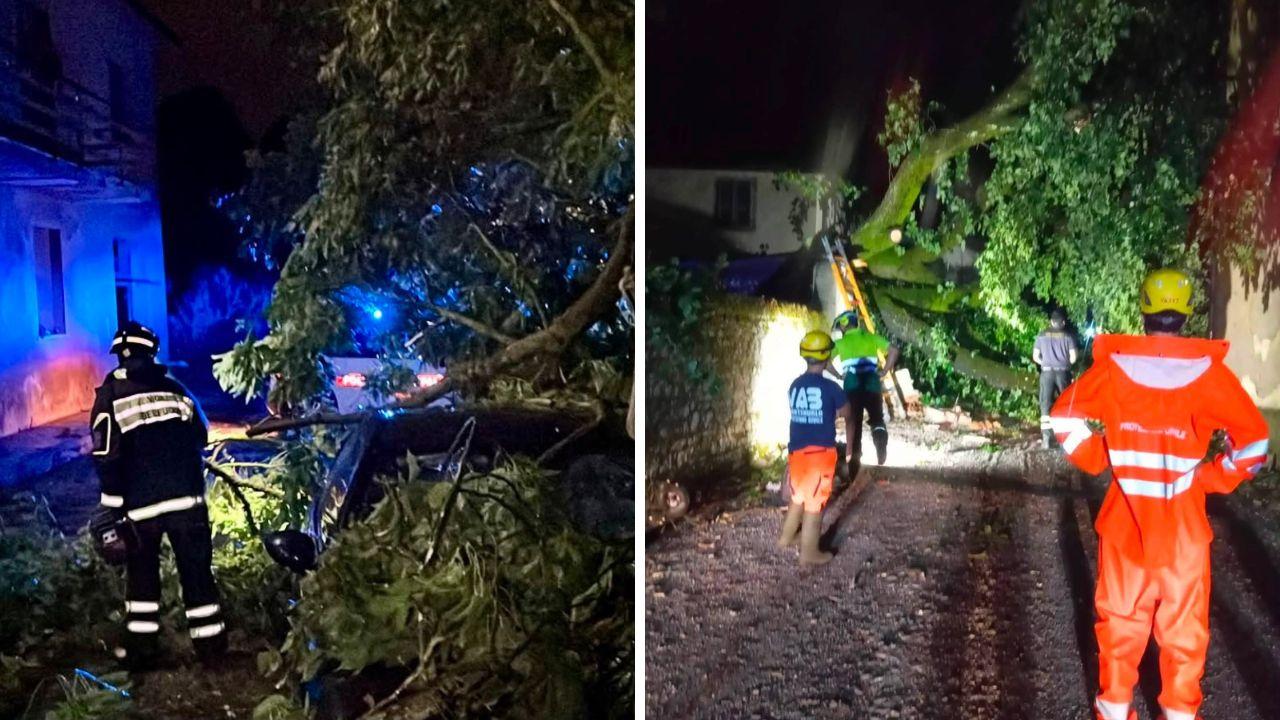 
	Alberi caduti in Toscana (a sinistra foto Vigili del fuoco)

