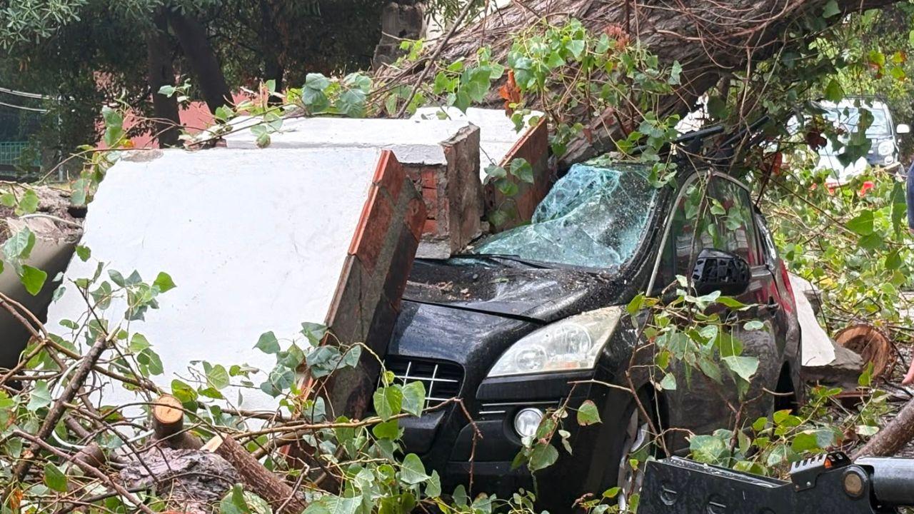 Maltempo in Toscana, strage di alberi e tetti scoperchiati per il forte vento - Nuovo fronte temporalesco: diretta radar