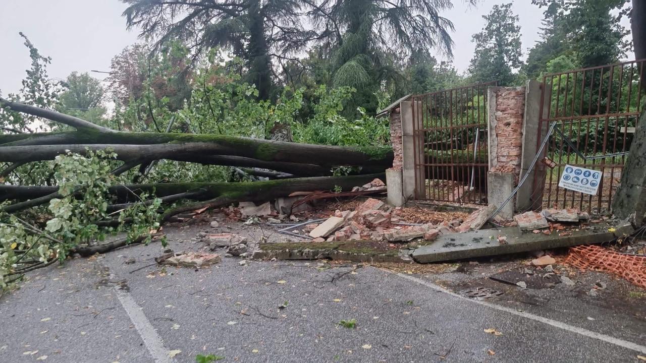 Maltempo nel Ferrarese, il sindaco di Tresignana: «Alberi abbattuti e strade interrotte»