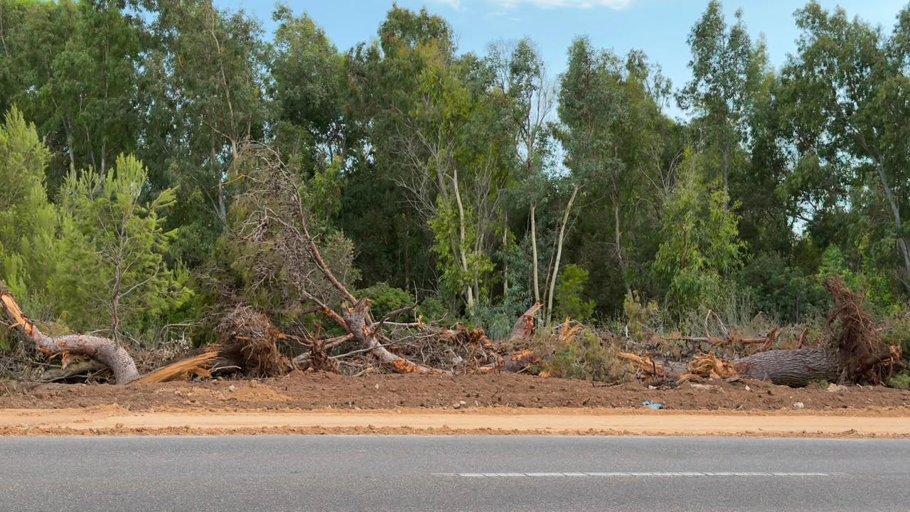 Via gli alberi e la macchia mediterranea per fare spazio alla nuova pista ciclabile per il mare