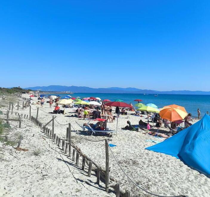 Piombino, le spiagge più belle della Costa Est: quasi 20 chilometri tra mare, pineta e relax