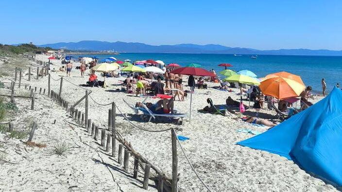 Piombino, le spiagge più belle della Costa Est: quasi 20 chilometri tra mare, pineta e relax