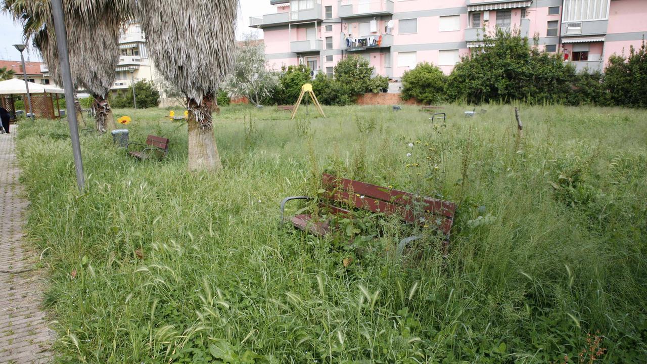 Zecche, i consigli dell’Ausl: prevenzione, rischi, e cosa fare in caso di morso