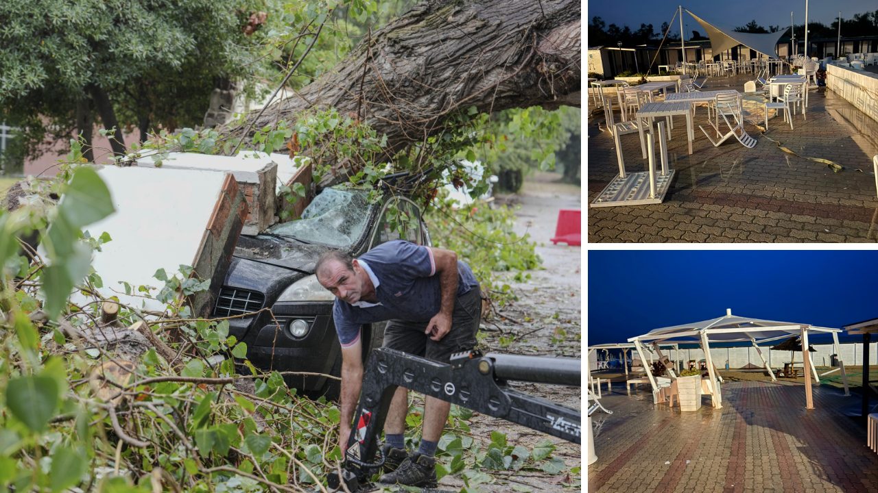 L'albero caduto a Calambrone (foto Stick), a dx i danni in uno stabilimento balneare