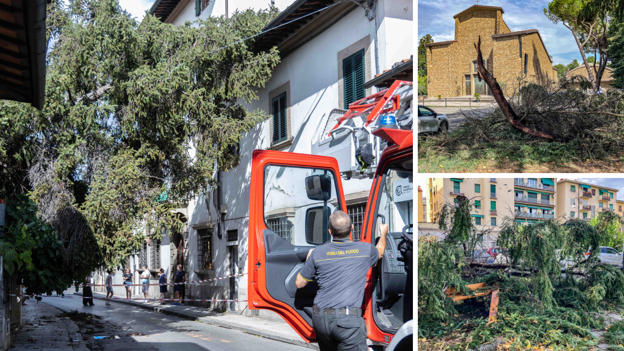 Maltempo a Firenze: il vento sferza la città, viali in tilt. Una tegola ferisce una turista alla spalla