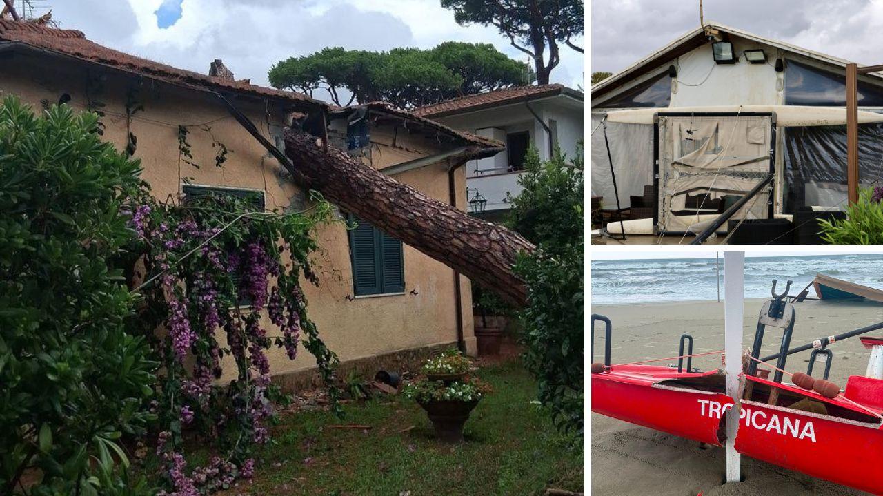 Maltempo in Versilia: pesanti danni agli stabilimenti balneari, alberi caduti e pali piegati dal vento