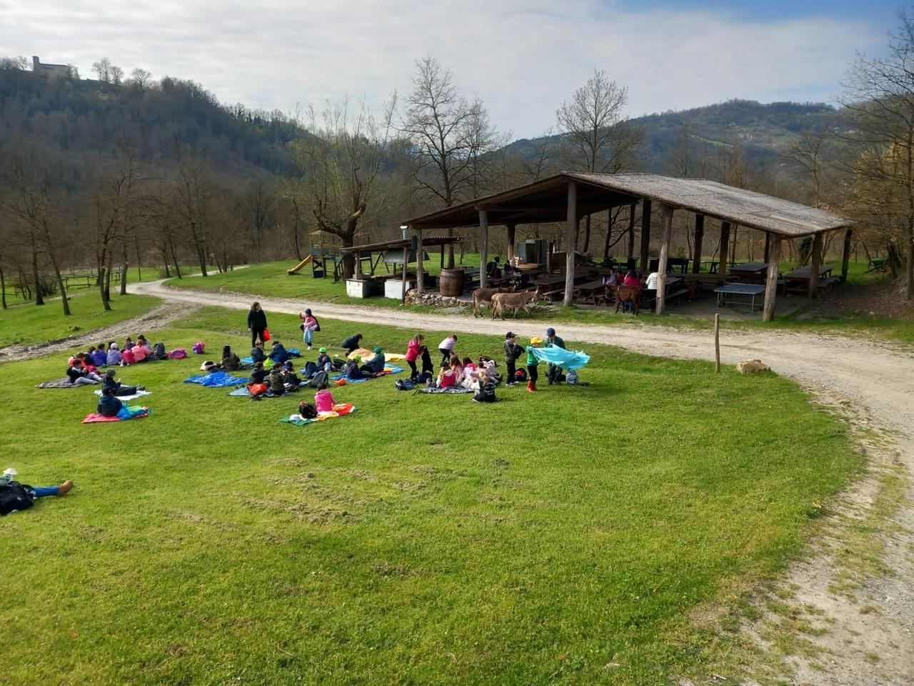 Tra animali, boschi e cucina tipica: alla scoperta dell’agriturismo e fattoria didattica “La Collina dei Cavalli”