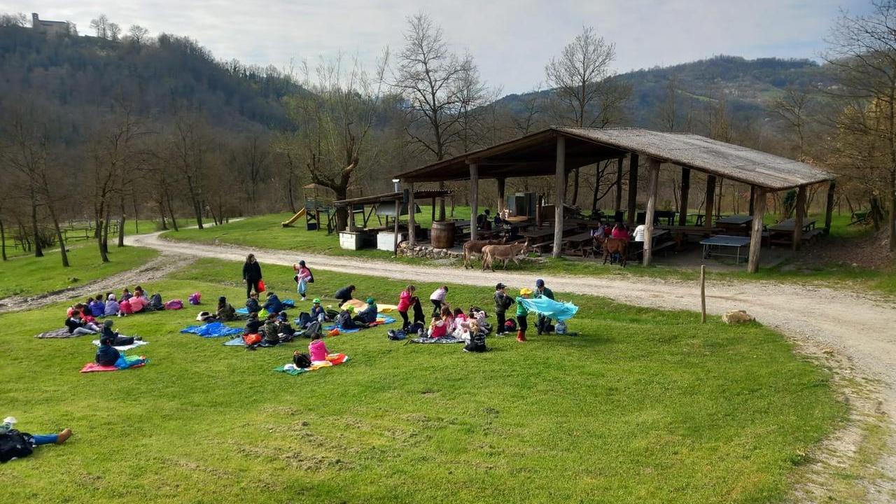 Tra animali, boschi e cucina tipica: alla scoperta dell’agriturismo e fattoria didattica “La Collina dei Cavalli”