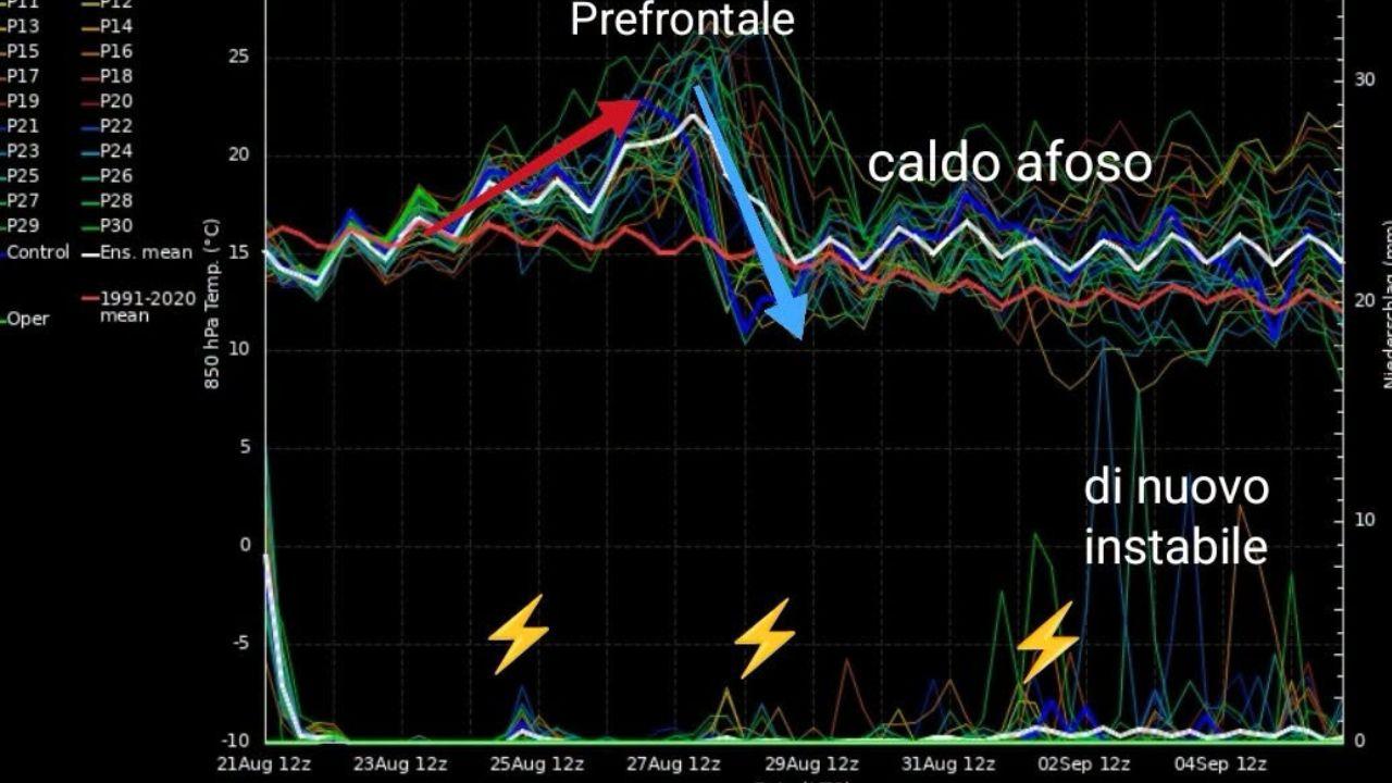 
	L'elaborazione del Cmt

