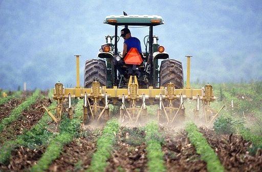 Gasolio agricolo alle stelle: in crisi migliaia di aziende del Ferrarese
