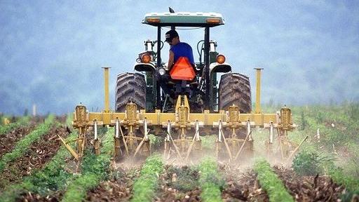 Gasolio agricolo alle stelle: in crisi migliaia di aziende del Ferrarese