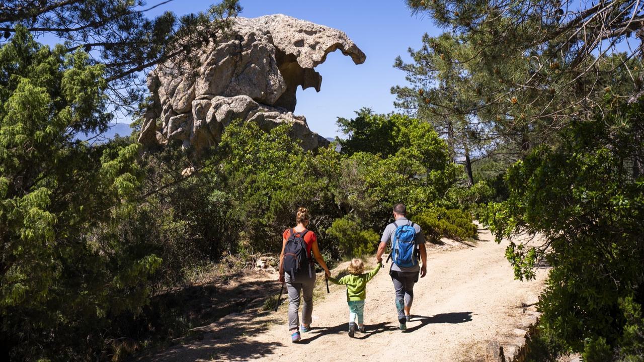 Monte Pino diventerà una riserva naturale: «Paradiso da scoprire e valorizzare»
