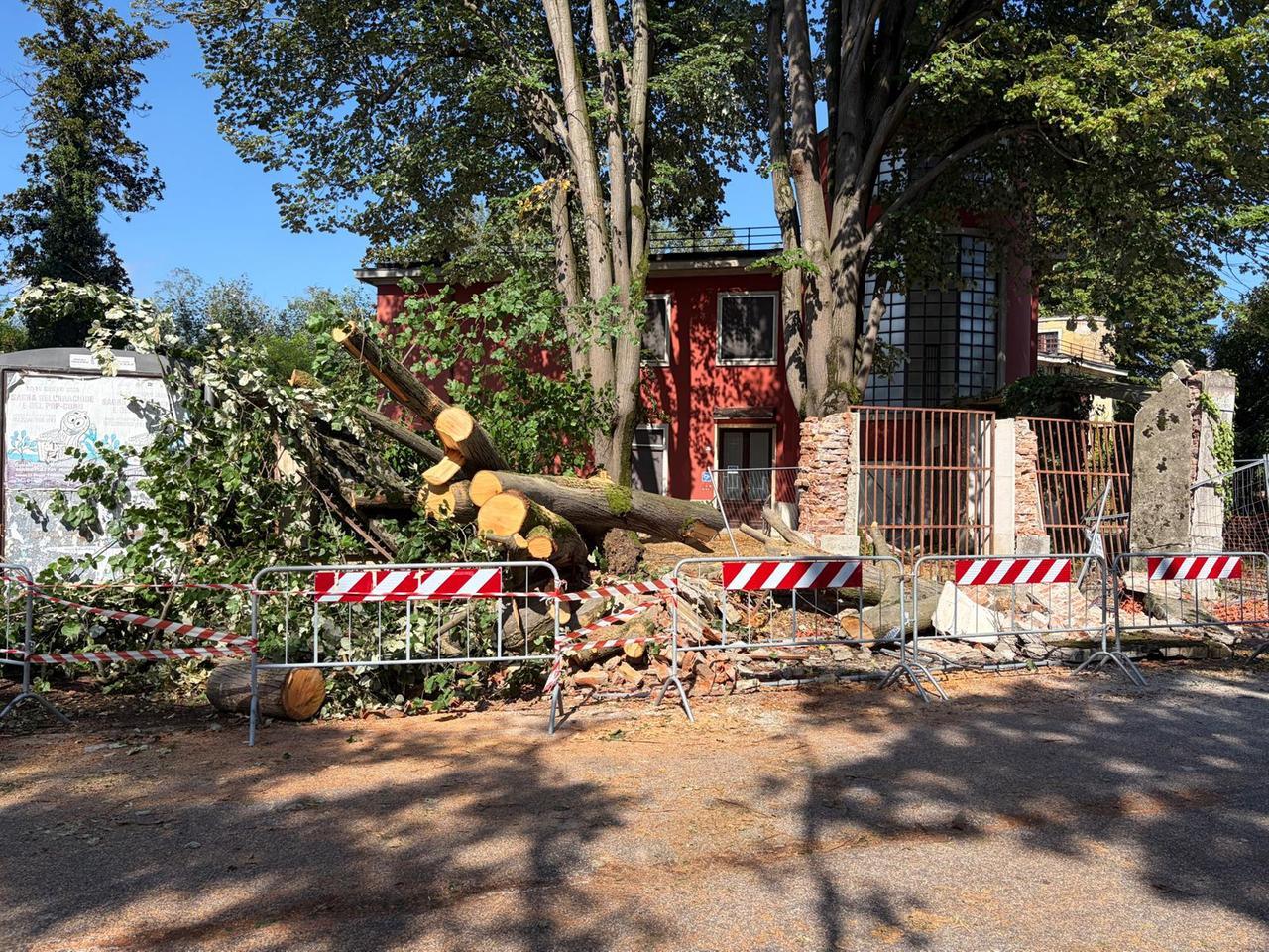 Tresigallo, i danni provocati dal fortunale sono ingenti. «Gli alberi caduti non si contano»