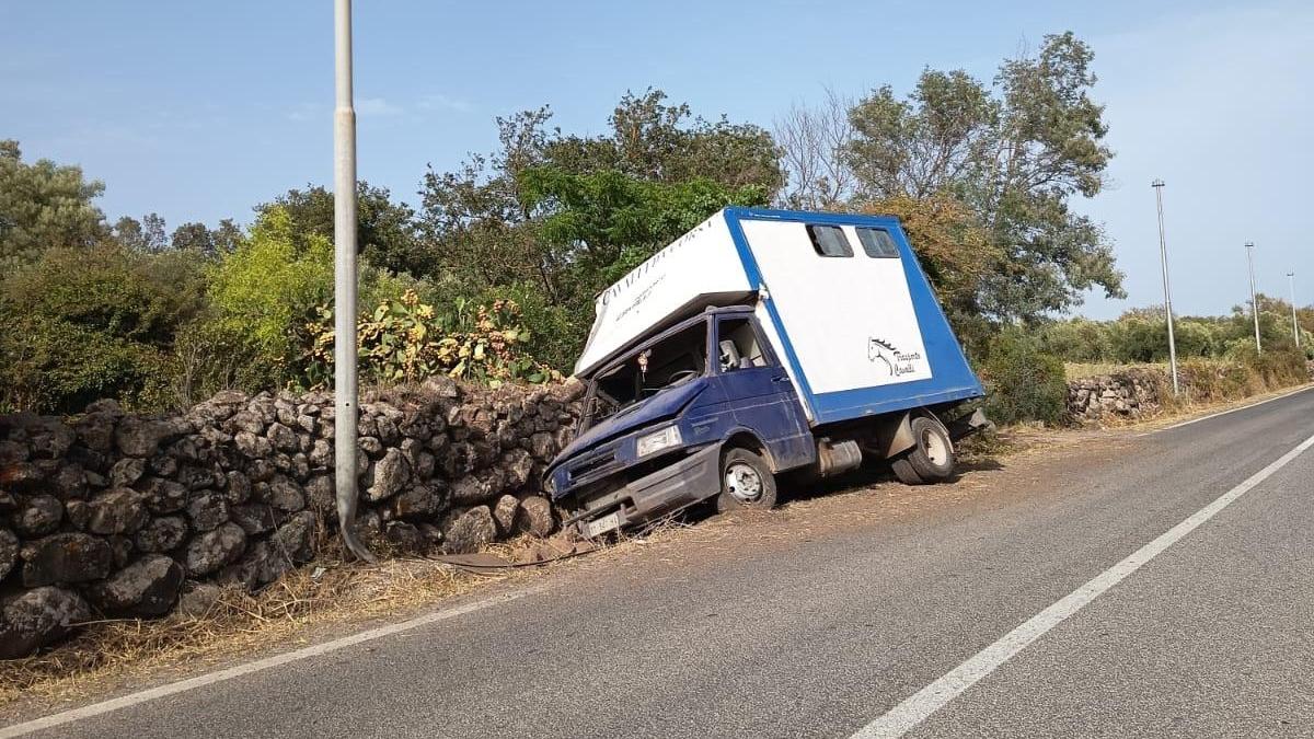 Camion per il trasporto dei cavalli si ribalta e finisce in cunetta, danni ingenti