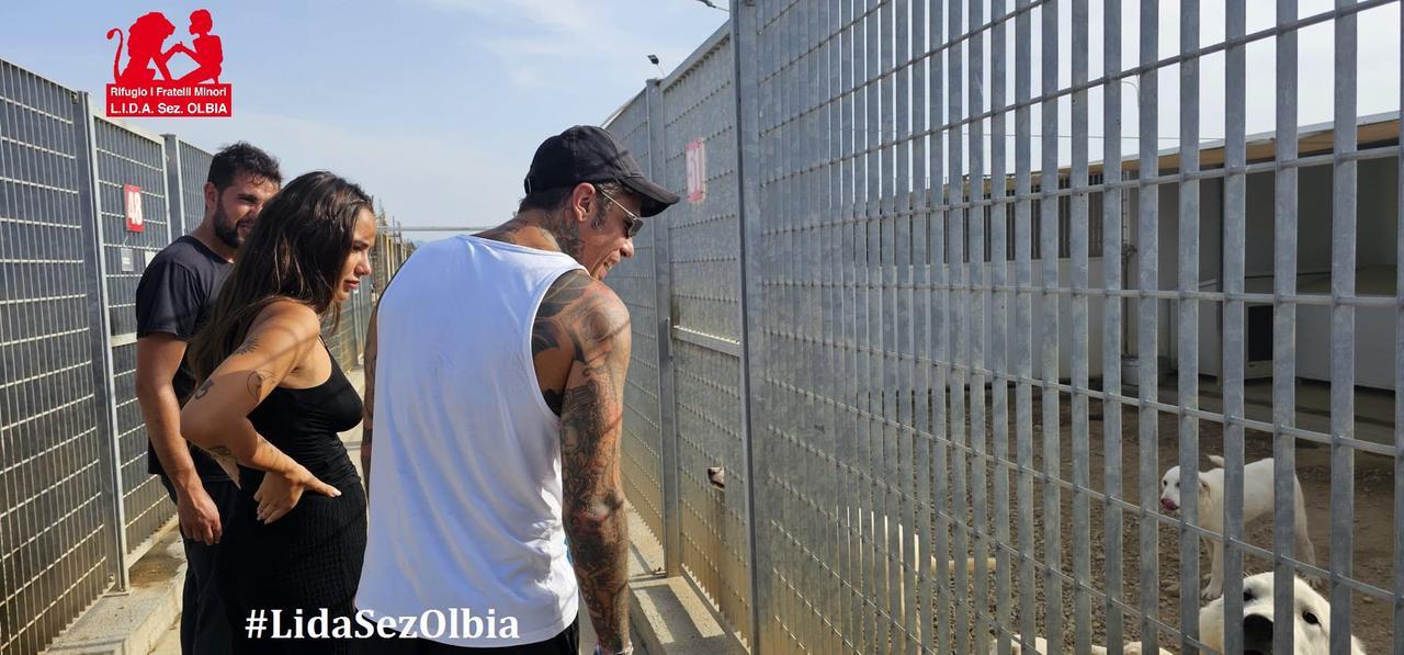 Visita a sorpresa di Fedez e Giulia al canile di Olbia: arrivano con il cibo e portano i cani a passeggio