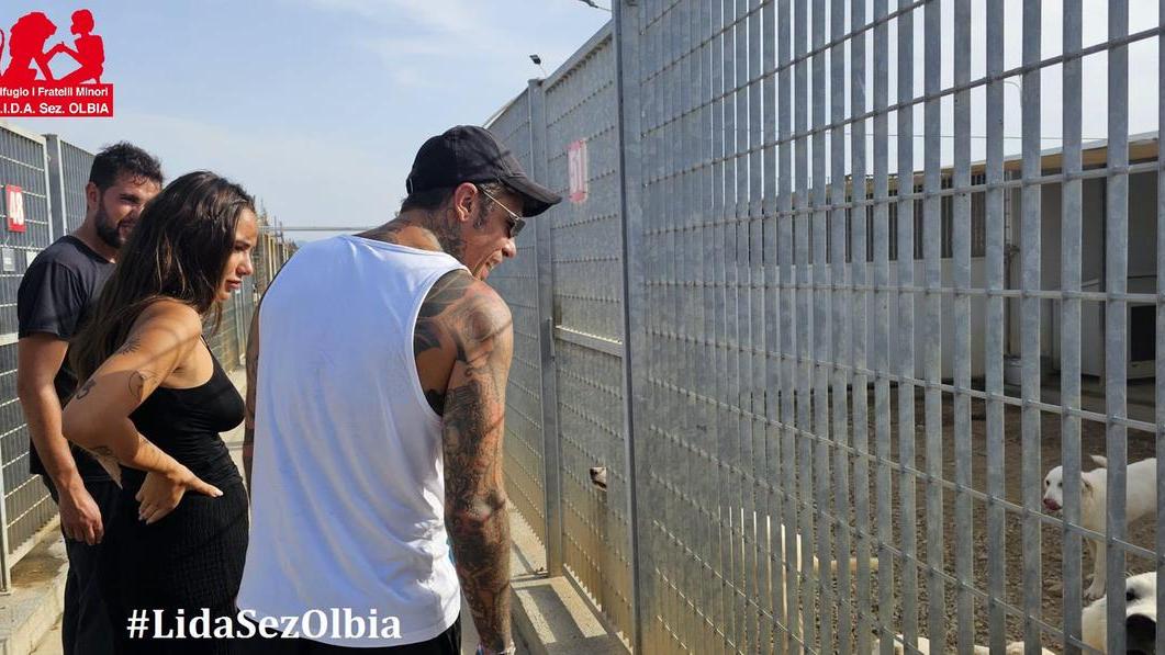 Visita a sorpresa di Fedez e Giulia al canile di Olbia: arrivano con il cibo e portano i cani a passeggio
