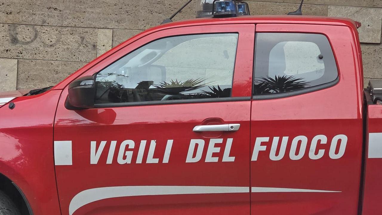 Maltempo in Maremma, notte di paura: albero si schianta sull’Aurelia