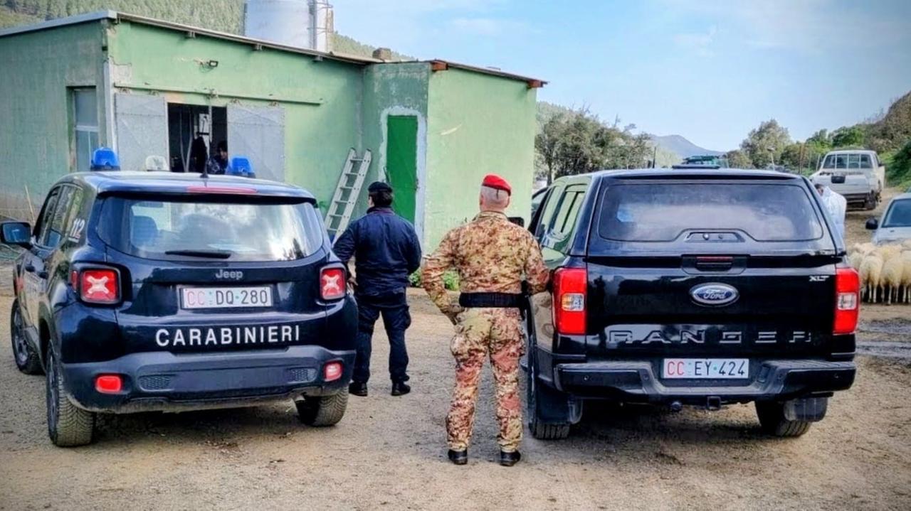 Oltre 300 armi sequestrate dall’inizio dell’anno: 242 sono fucili e pistole
