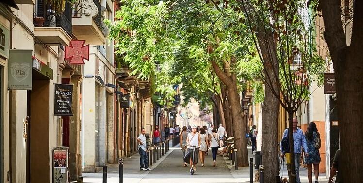 Firenze, uno scudo verde di alberi contro le ondate di caldo: il piano del Comune