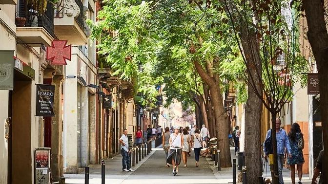 Firenze, uno scudo verde di alberi contro le ondate di caldo: il piano del Comune