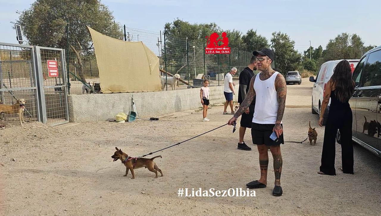 Giornata mondiale del cane, da Fedez, Canalis e Murino alla storia di Palla: la Sardegna dei rifugi e delle seconde possibilità