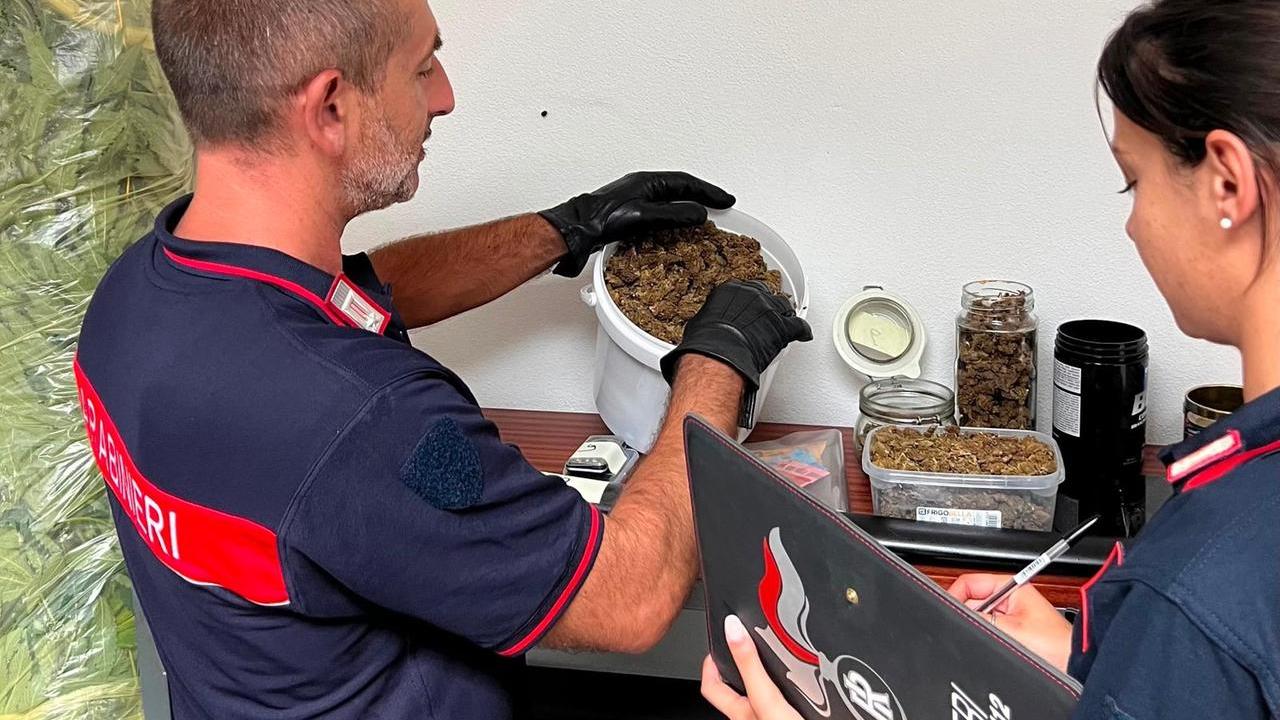 Droga e una katana in casa: arrestato