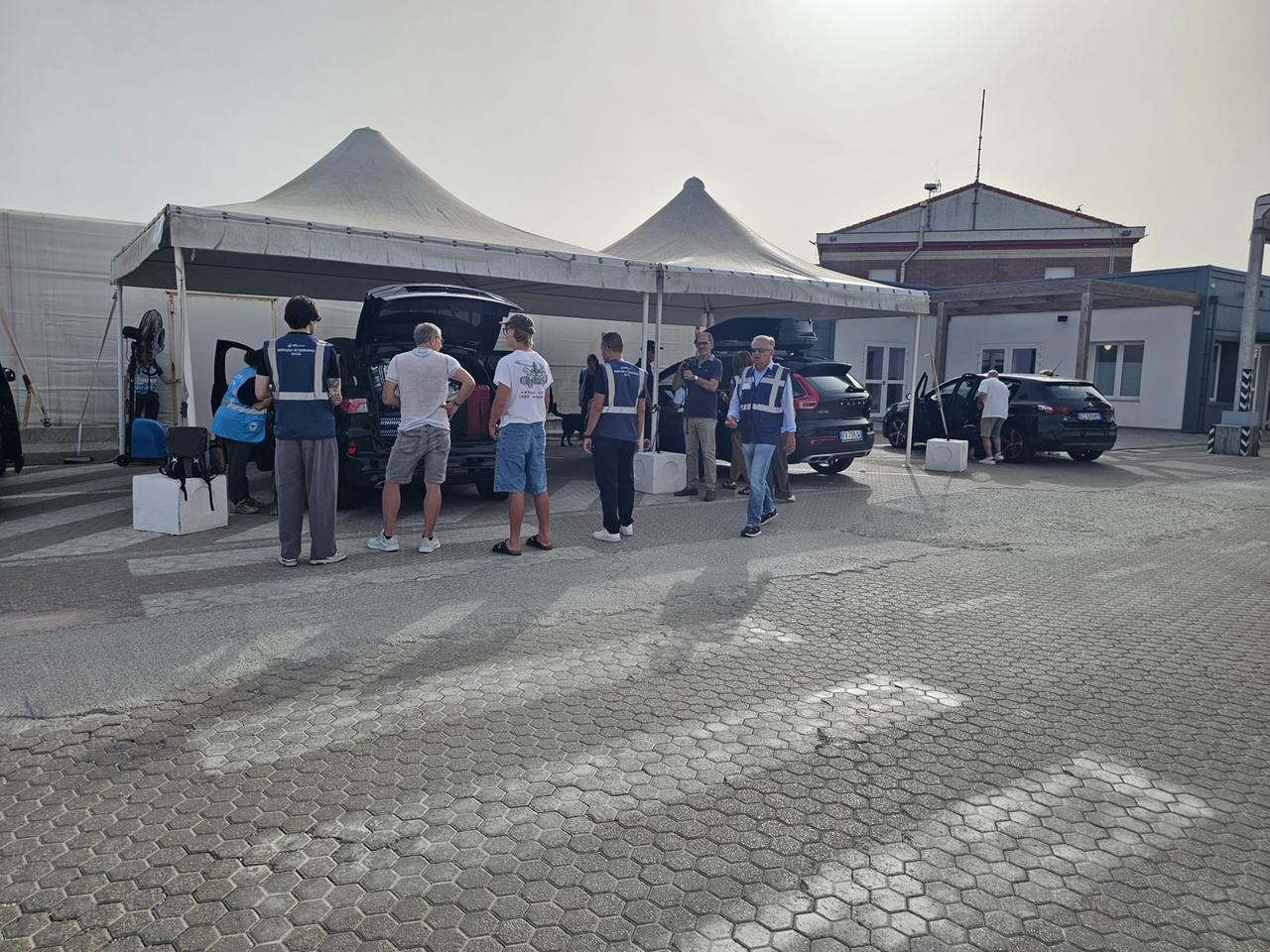 Porto Torres, screening a campione nel Porto contro la Peste suina africana