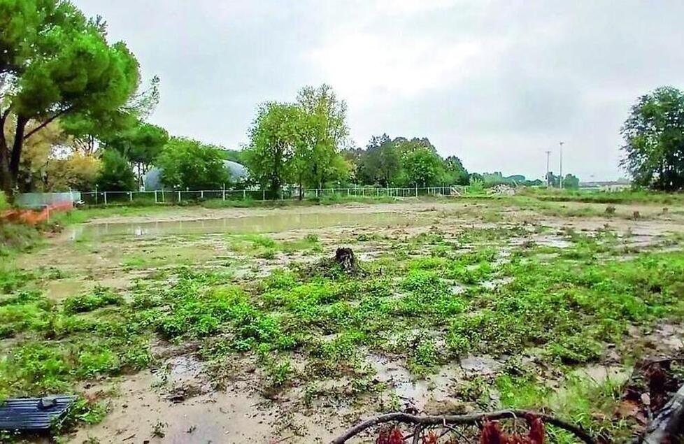 Stadio dell'acqua di Iolo, un premio al dirigente che ha bocciato il progetto