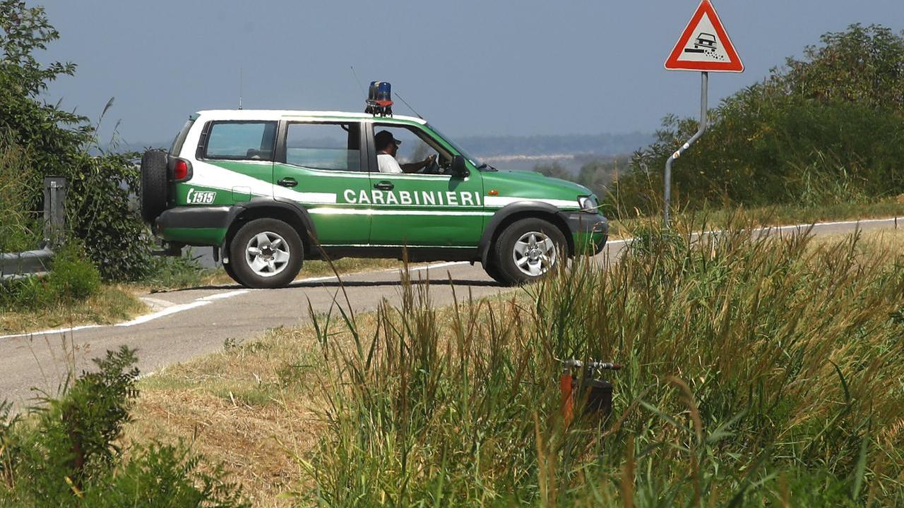 Una pattuglia dei carabinieri forestali (foto d'archivio)