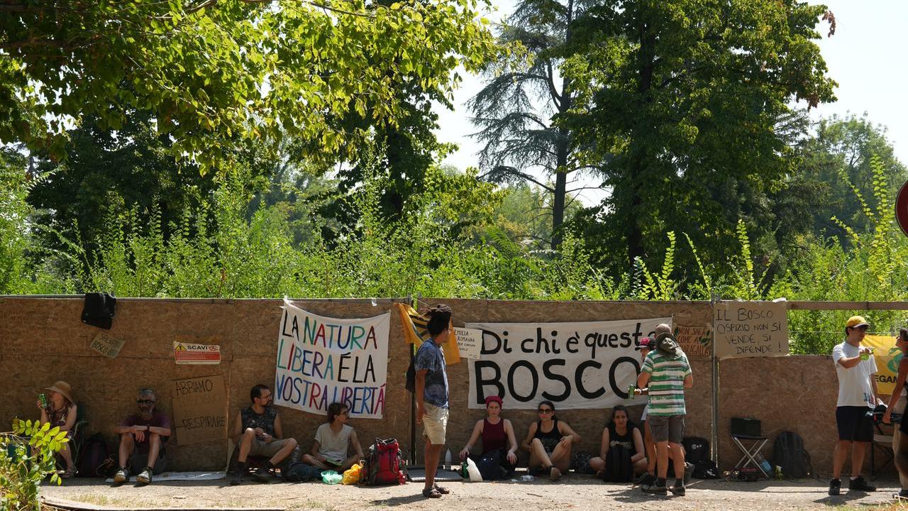 Bosco Ospizio, l’annuncio degli attivisti: «Conad è disposto a incontrarci»