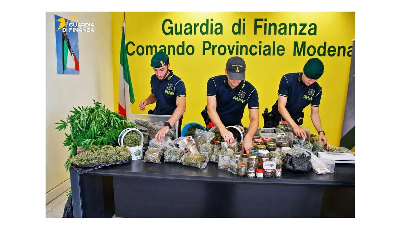 Il cane antidroga lo fiuta sul Flixbus, poi la scoperta in casa: una serra e 10 chili di marijuana. C’è anche la nuova droga Wax