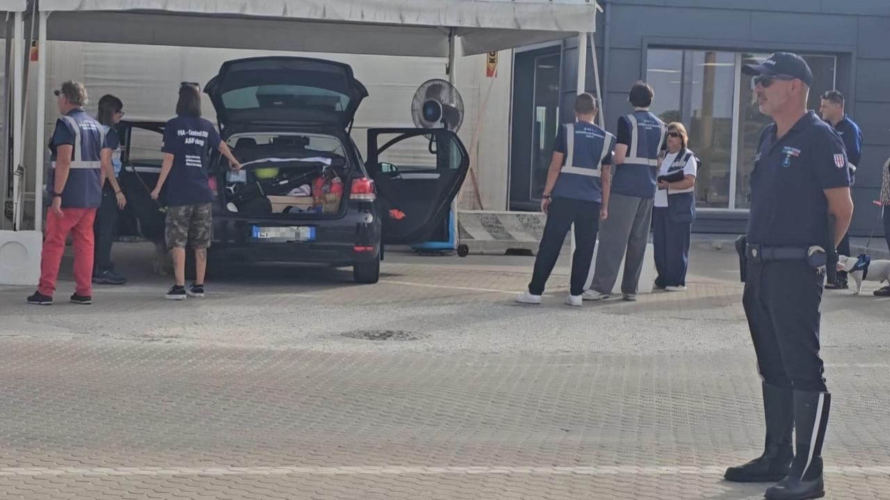 Carne di cinghiale trovata al porto, test negativo alla Peste suina africana: «Ma il rischio resta alto»