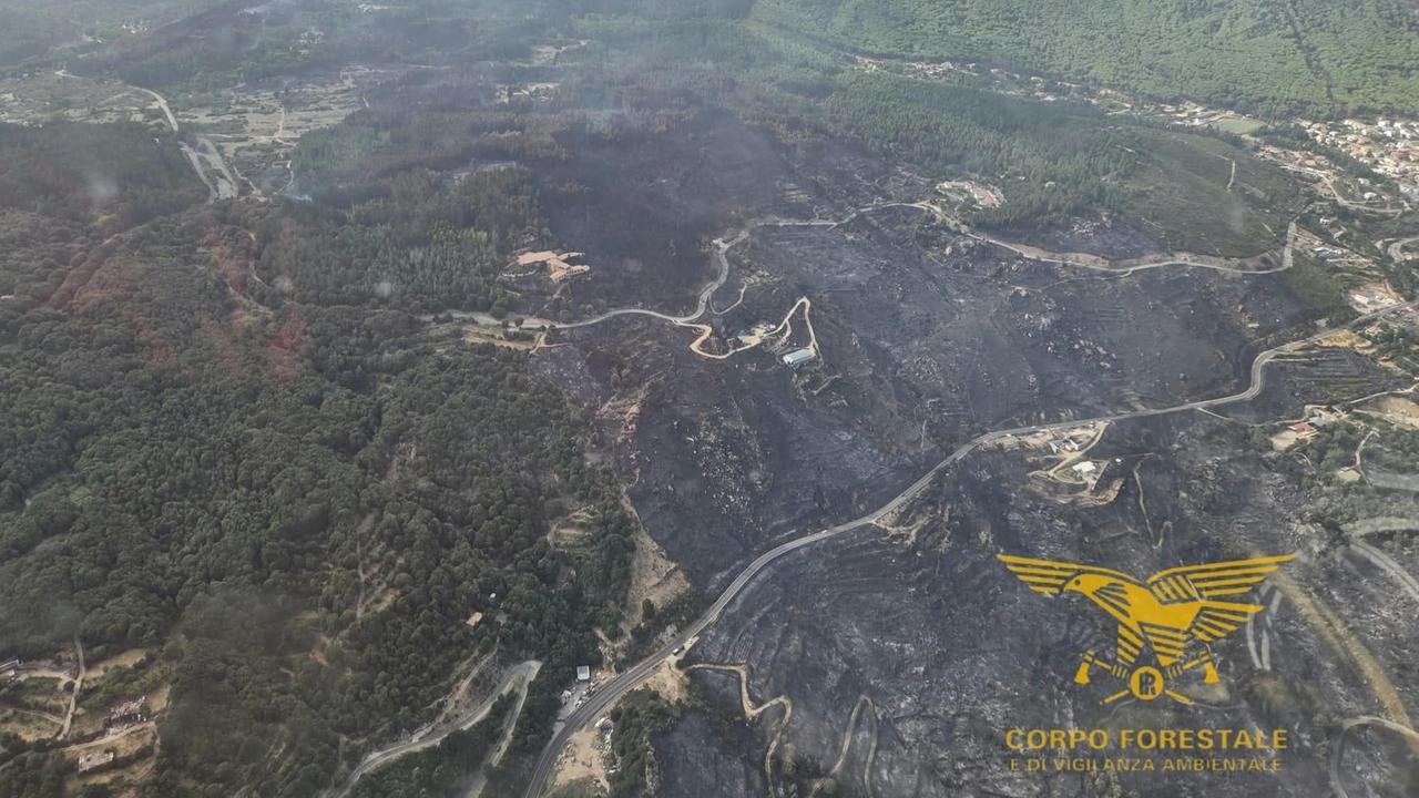L’inferno di fuoco fra Elini e Arzana distrugge 200 ettari di bosco: «Azioni criminali che mettono a rischio la vita» – VIDEO
