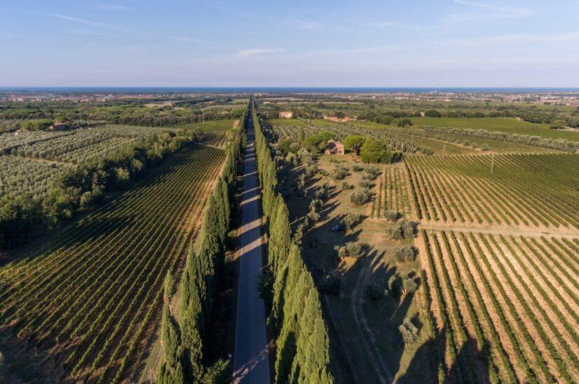 
	Bolgheri

