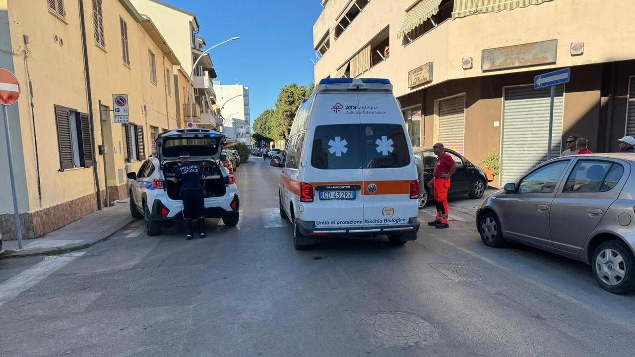 Alghero, attraversa sulle strisce e viene investita da un’auto: donna finisce in ospedale