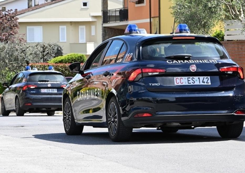 Cane da pastore azzanna un 50enne a Concordia. “Scherzo” da 10 giorni di prognosi